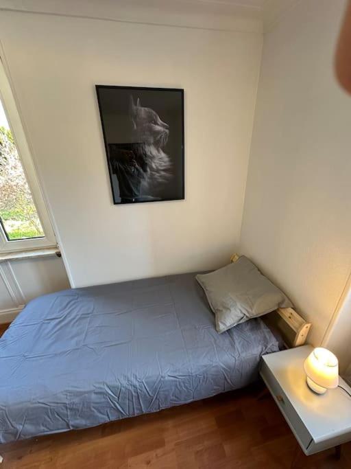 Magnifique Appartement F3. 4 A 6 Personnes Lutterbach Екстериор снимка