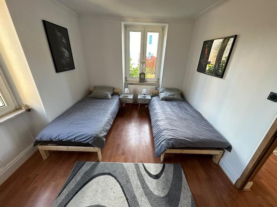 Magnifique Appartement F3. 4 A 6 Personnes Lutterbach Екстериор снимка
