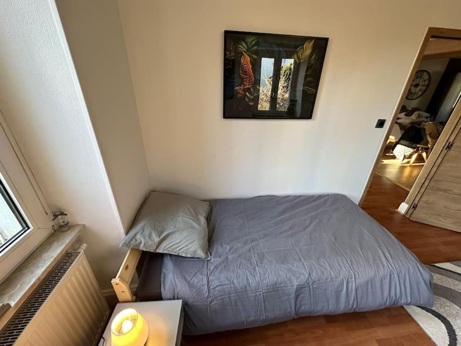 Magnifique Appartement F3. 4 A 6 Personnes Lutterbach Екстериор снимка